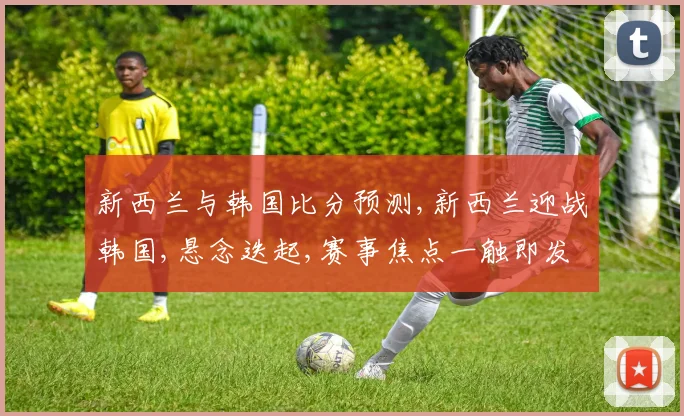 新西兰与韩国比分预测,新西兰迎战韩国,悬念迭起,赛事焦点一触即发,拭目以待