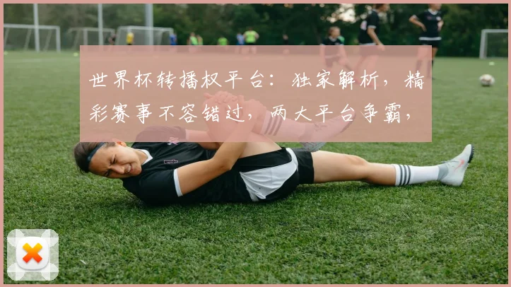 世界杯转播权平台：独家解析，精彩赛事不容错过，两大平台争霸，您更支持谁