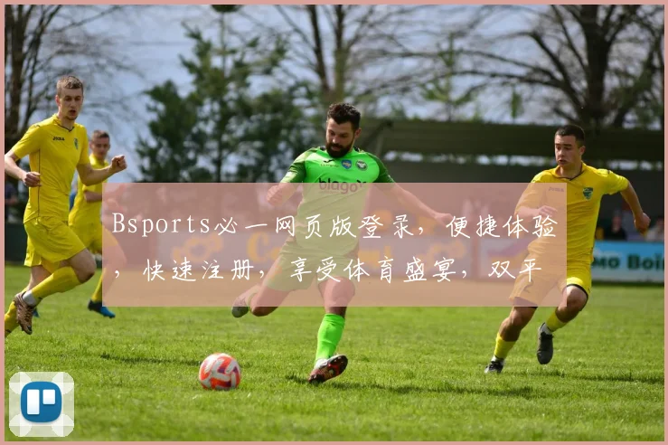 Bsports必一网页版登录，便捷体验，快速注册，享受体育盛宴，双平台同步